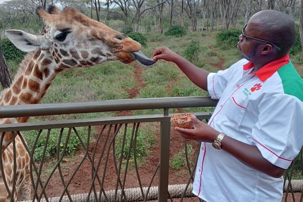 Half Day Elephant Orphanage & Giraffe CenterKobe Beads With Fees | ®ExcursionMania