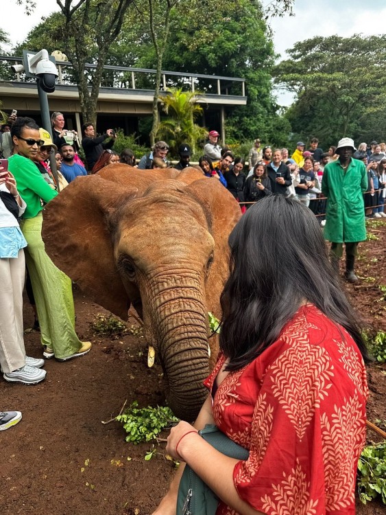 Half Day Elephant Orphanage & Giraffe CenterKobe Beads With Fees | ®ExcursionMania