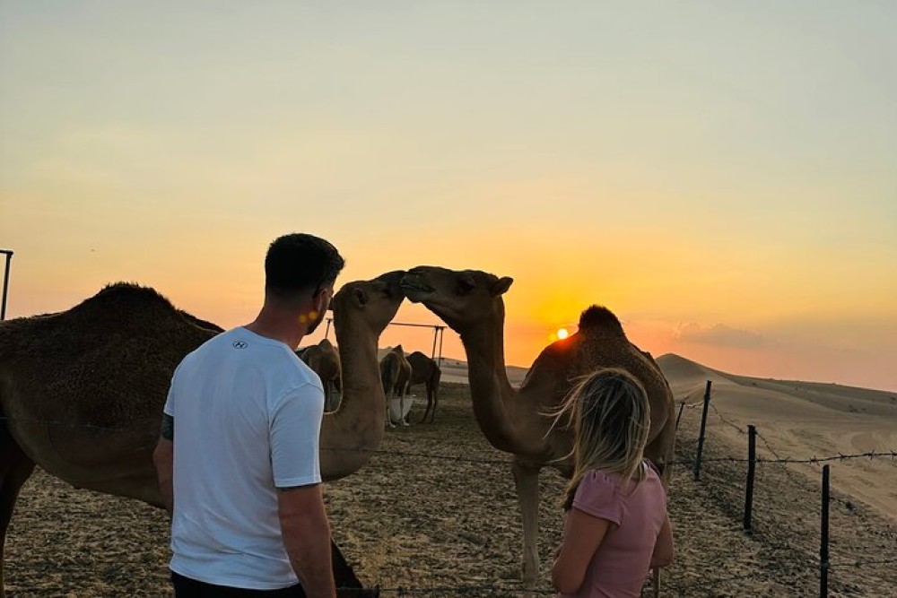 Abu Dhabi: Private Evening Desert Safari with BBQ and Live Shows | ®ExcursionMania