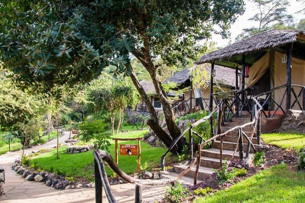 Day Trip to Hells Gate & Optional Boat Ride at Lake Naivasha | ®ExcursionMania