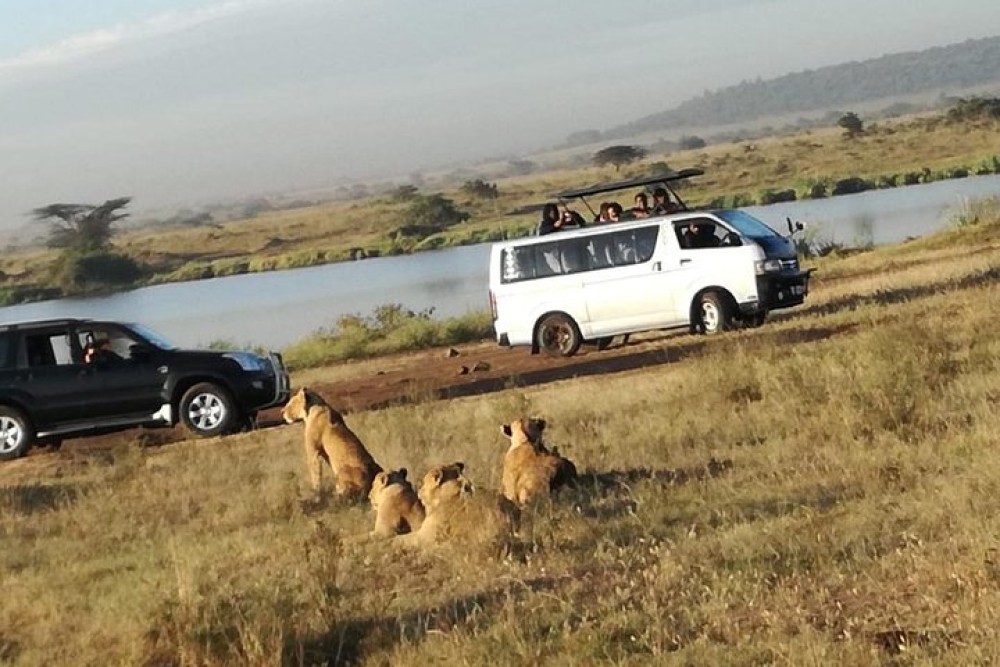 Nairobi National Park Half-Day Tour Free Wi-Fi connection | ®ExcursionMania