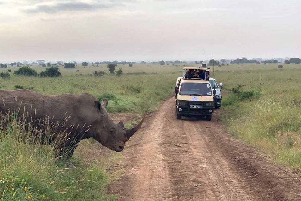 Nairobi National Park Half-Day Tour Free Wi-Fi connection | ®ExcursionMania