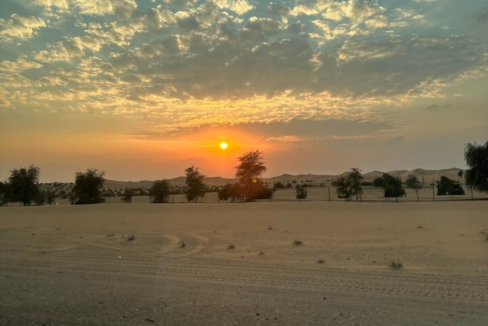 Liwa: Full Day Private Desert Safari with Lunch & Sunset | ®ExcursionMania