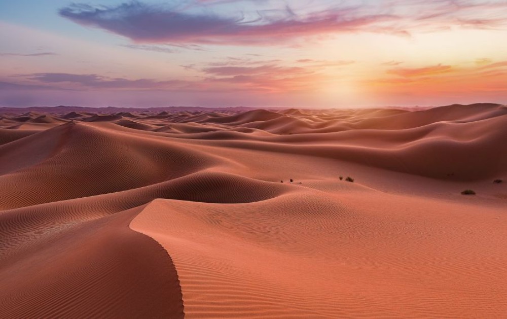 Liwa: Full Day Private Desert Safari with Lunch & Sunset | ®ExcursionMania
