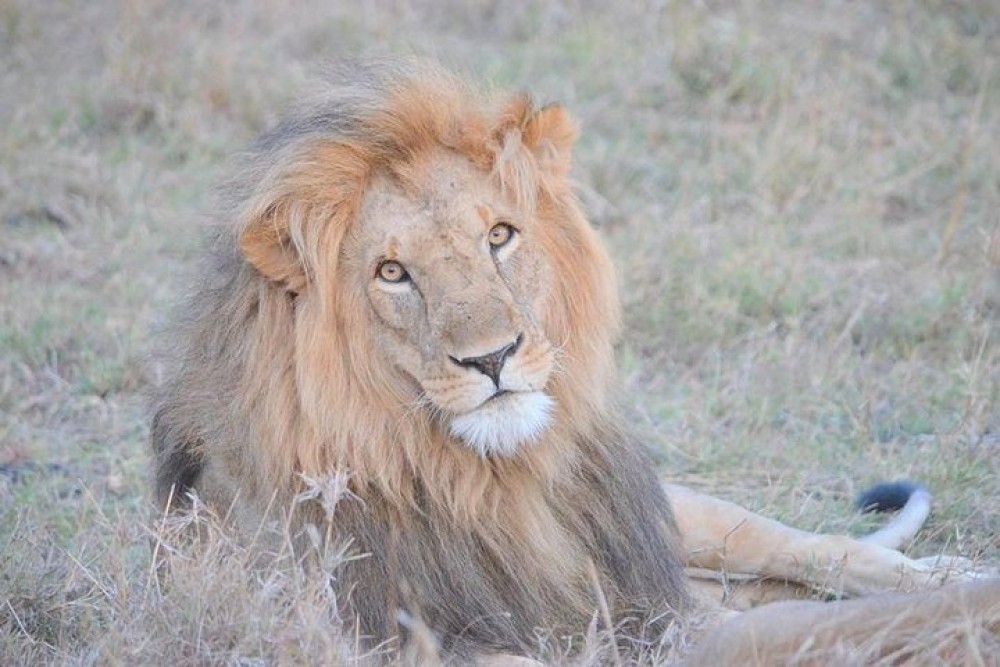 3 Days Masai Mara Camping | ®ExcursionMania