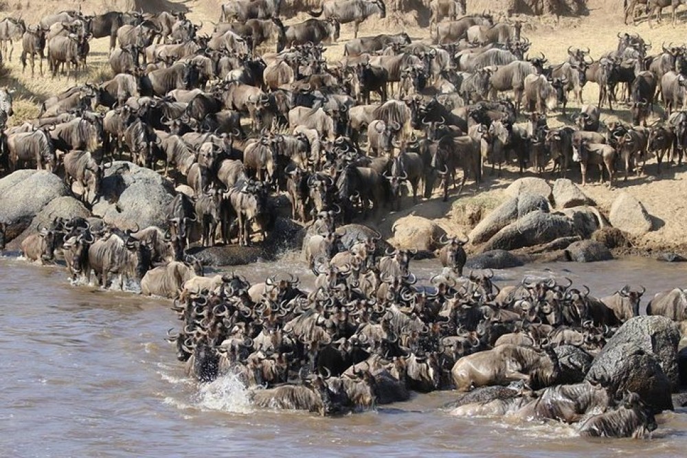 3 Days Masai Mara Camping | ®ExcursionMania