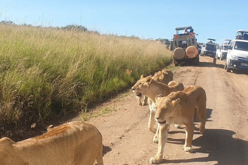 3 Days Masai Mara Camping | ®ExcursionMania