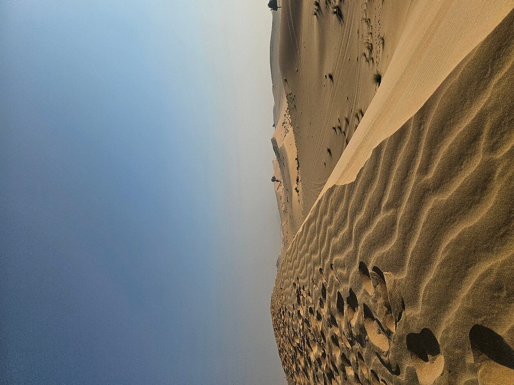 Abu Dhabi Morning Desert Safari with Camel Ride | ®ExcursionMania
