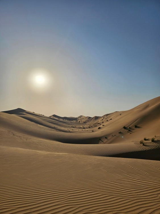 Private Abu Dhabi Desert Safari With Camel Ride And Sand Boarding | ®ExcursionMania