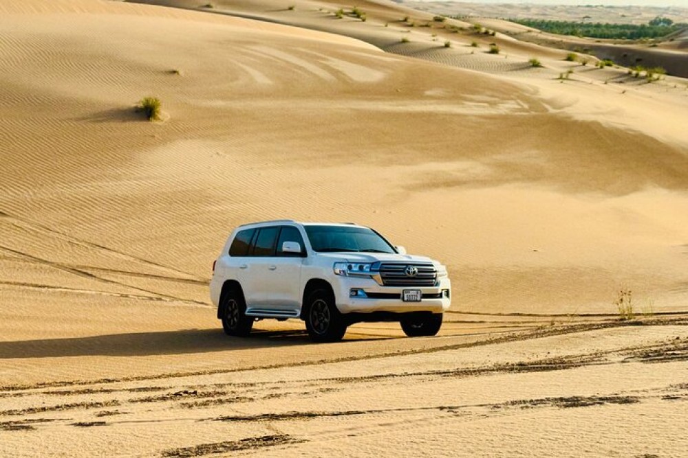 Private Abu Dhabi Desert Safari With Camel Ride And Sand Boarding | ®ExcursionMania