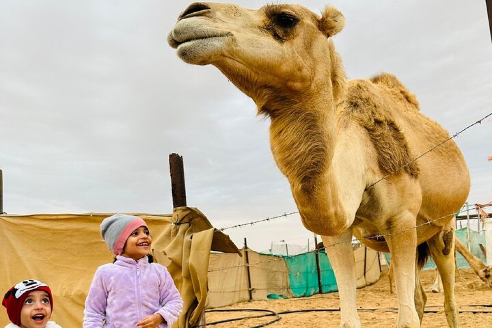 Abu Dhabi Morning Desert Safari with Camel Ride | ®ExcursionMania