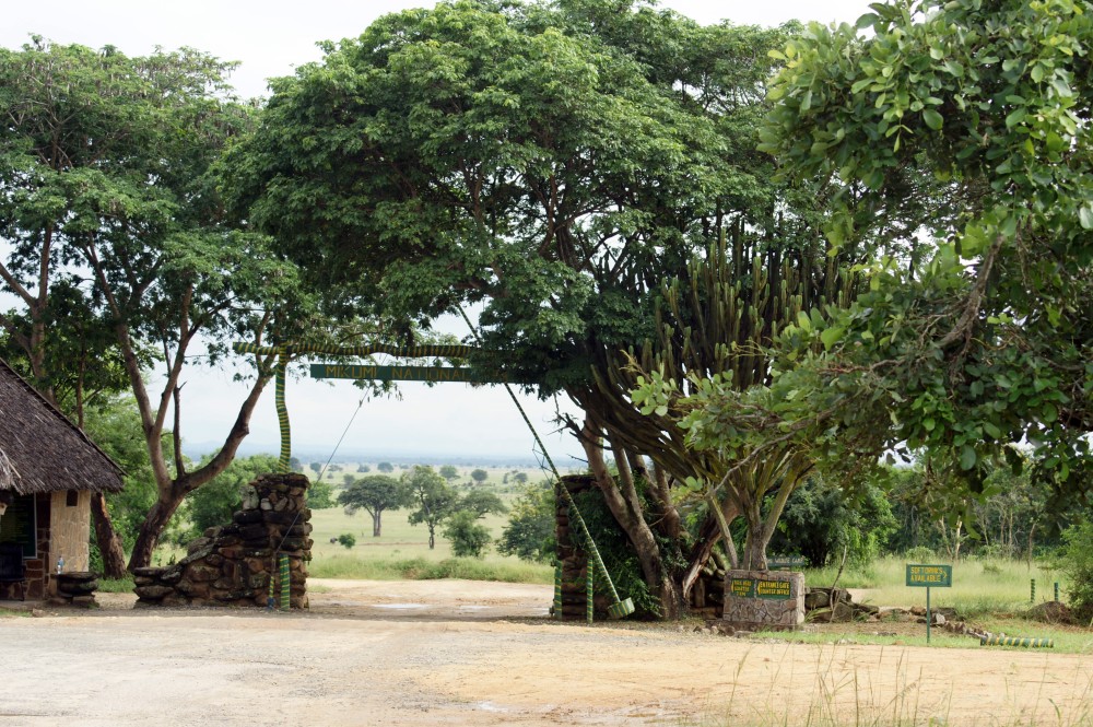 Safari Wildlife From Zanzibar to Mikumu 3 Days And 2 Nights | ®ExcursionMania