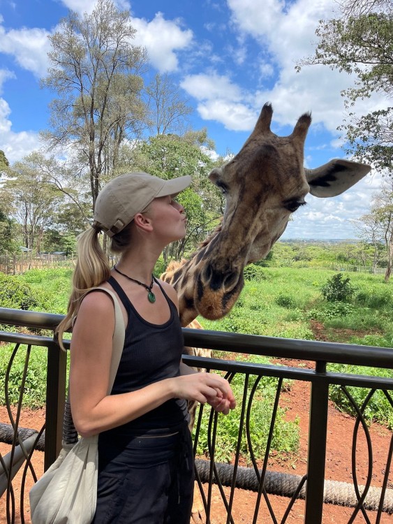 Nairobi National Park, Sheldrick Elephant, Giraffe Centre Tour | ®ExcursionMania
