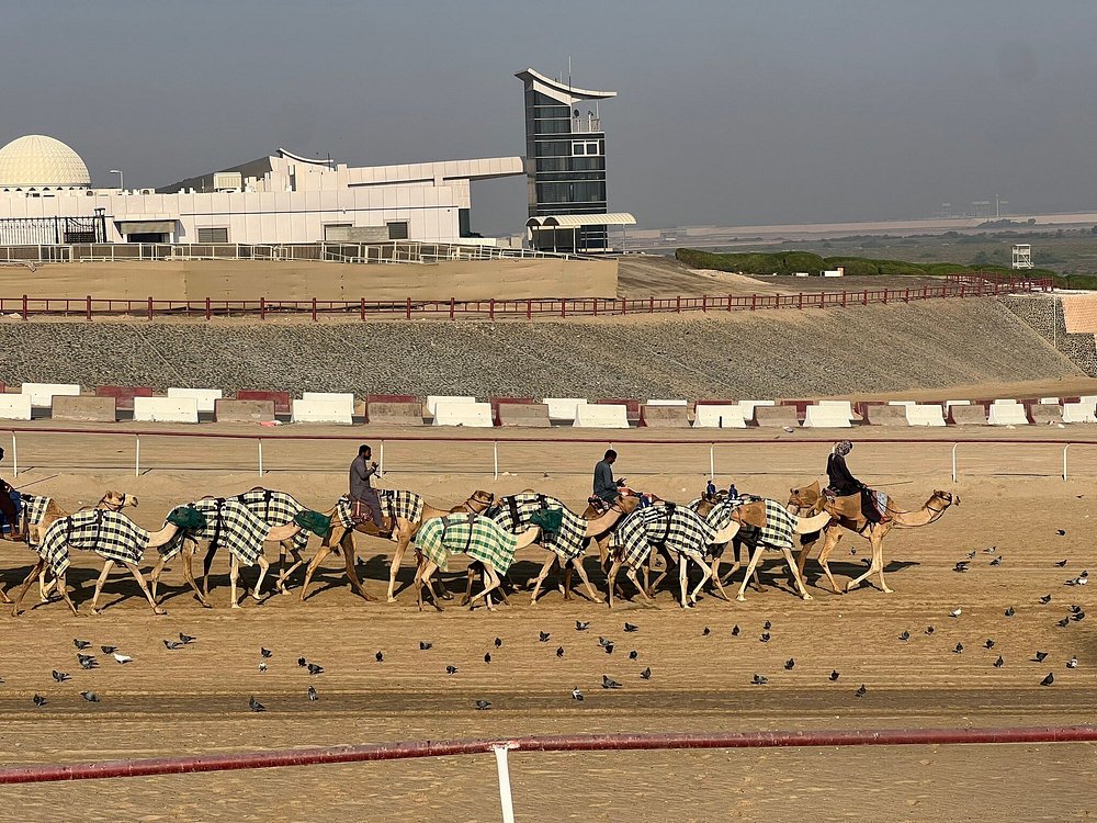 Al Wathba Fossil Dunes and Camel Race Track Trip Abu Dhabi | ®ExcursionMania