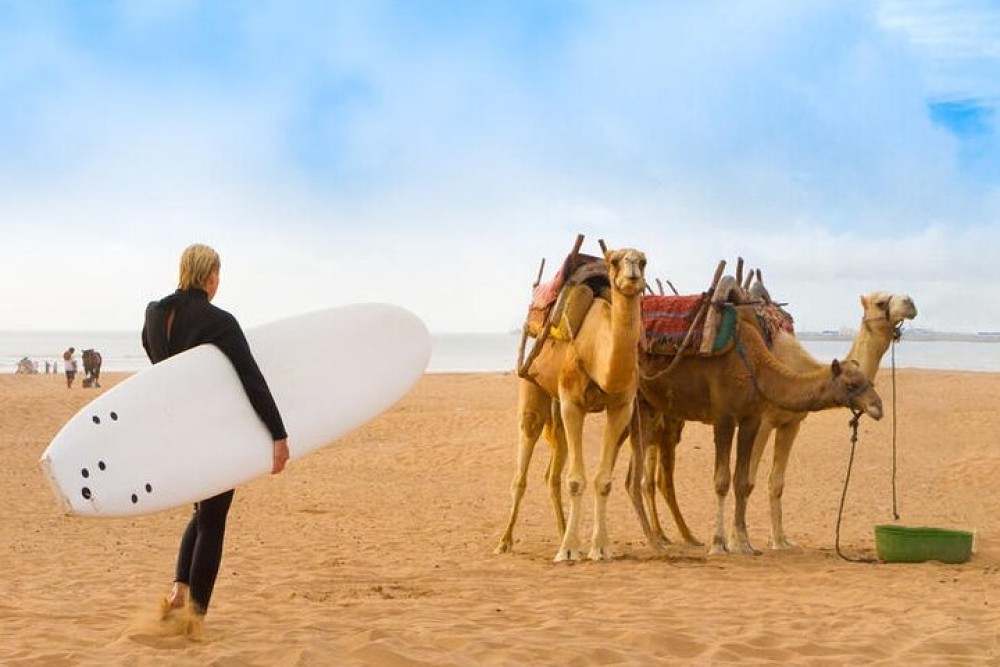 Essaouira: Full Day Trip From Marrakech | ®ExcursionMania
