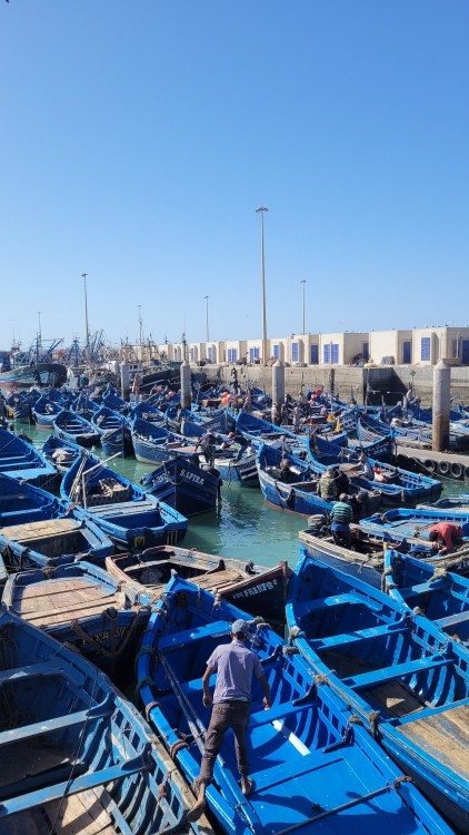 Essaouira: Full Day Trip From Marrakech | ®ExcursionMania