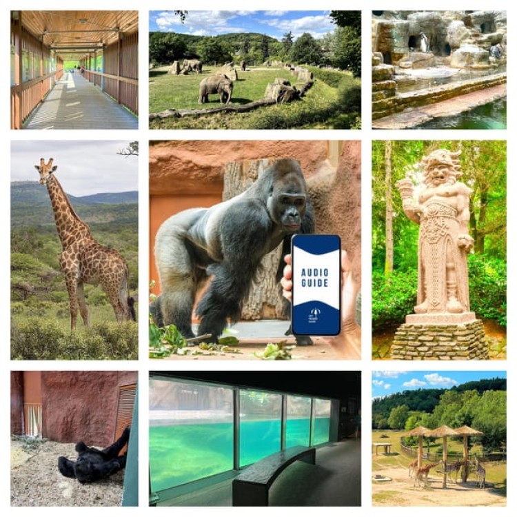 Prague Zoo Online Audio Guide No ticket | ®ExcursionMania