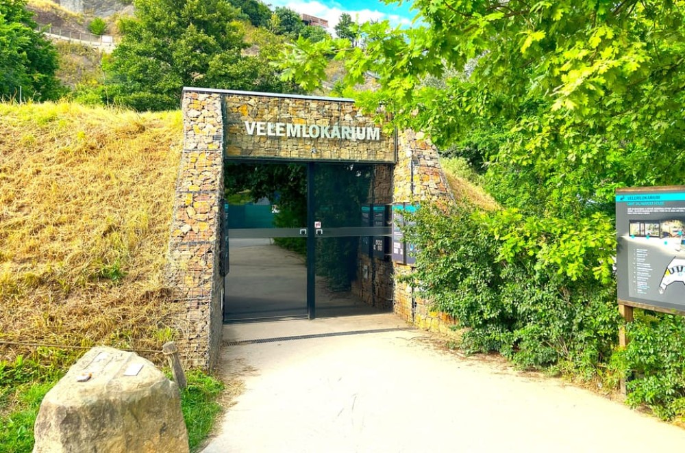 Prague Zoo Online Audio Guide No ticket | ®ExcursionMania