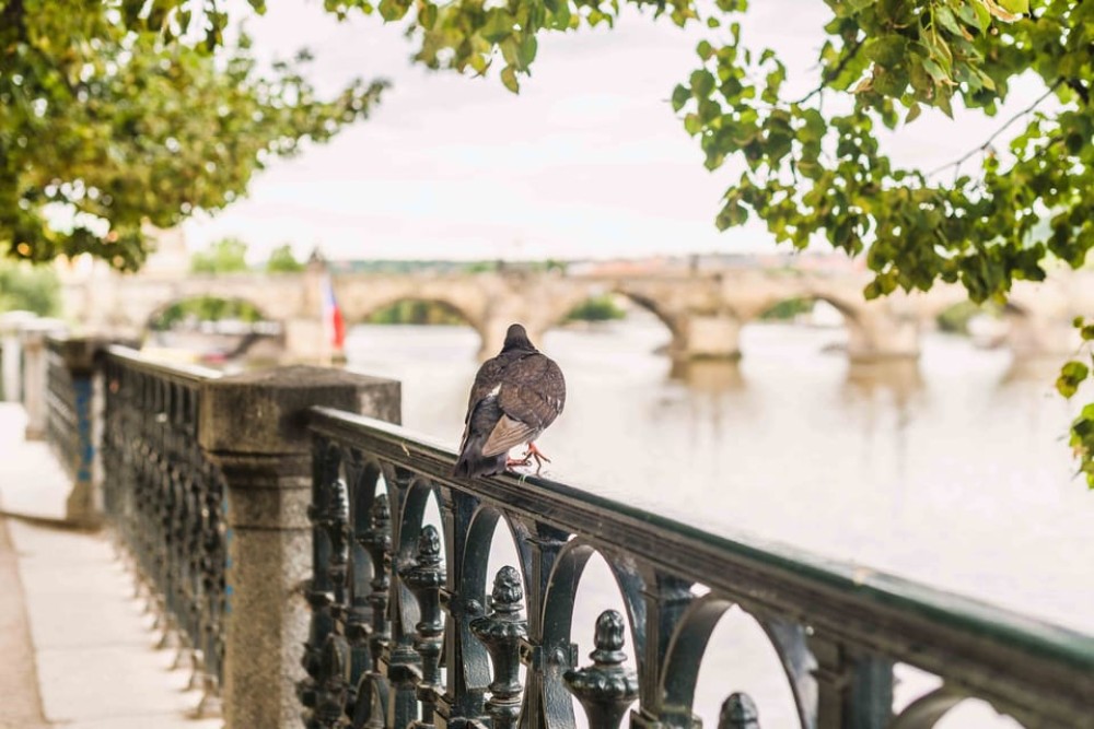 Prague Beer Tour Audio Guide with Ticket to Exhibition | ®ExcursionMania