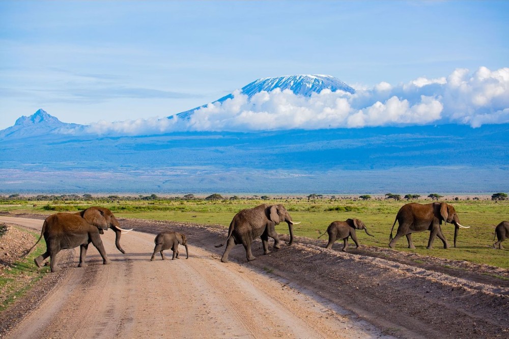 Amboseli National Park Day Trip With Masai Village Visit Tour | ®ExcursionMania