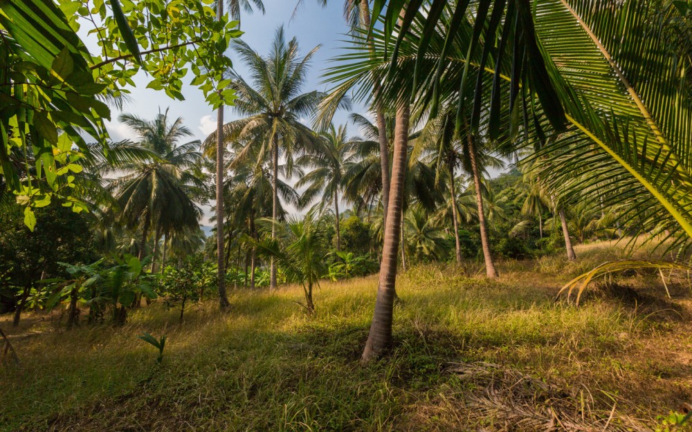 Lady Buddha, Marble Mountains, Coconut Jungle & Hoian City Tour | ®ExcursionMania