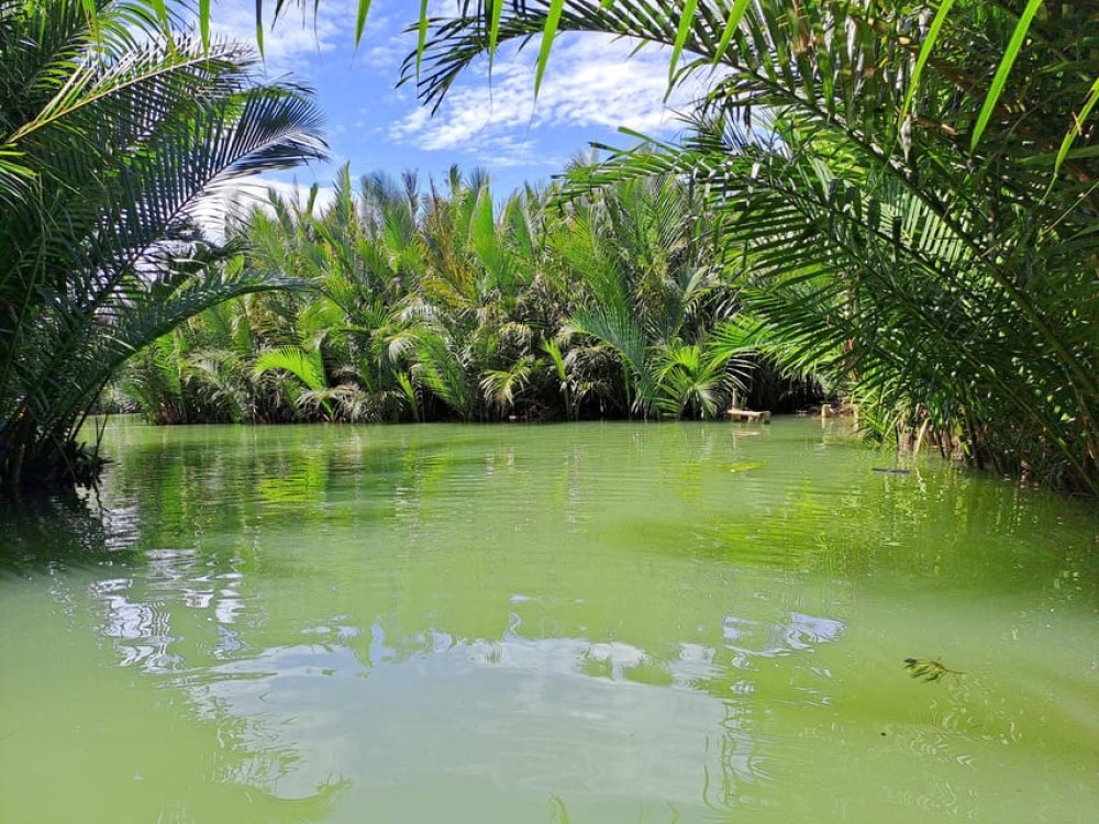 Hoi An Countryside - Buffalo Riding - Basket Boat Rowing | ®ExcursionMania