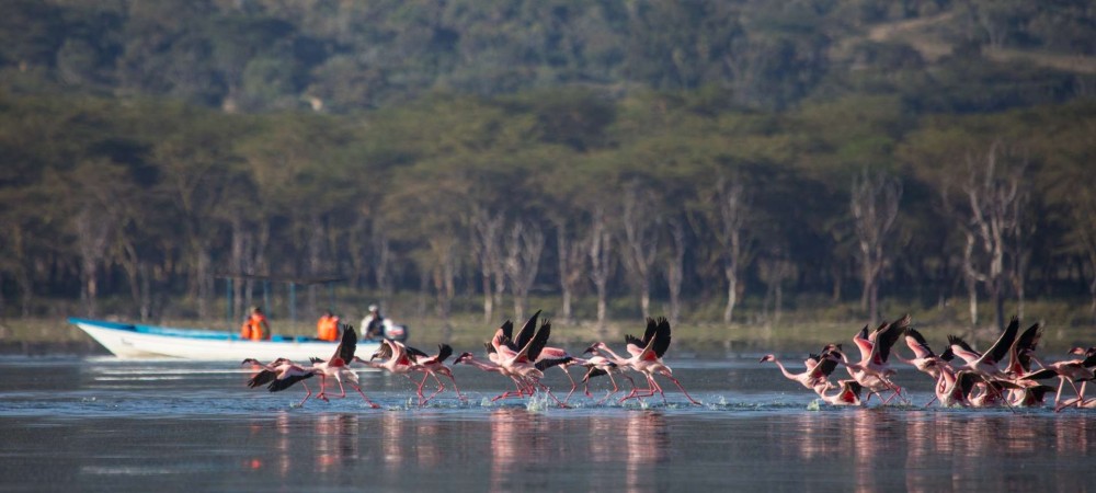 Day Trip -Hells Gate & Lake Naivasha With Boat Ride From Nairobi | ®ExcursionMania