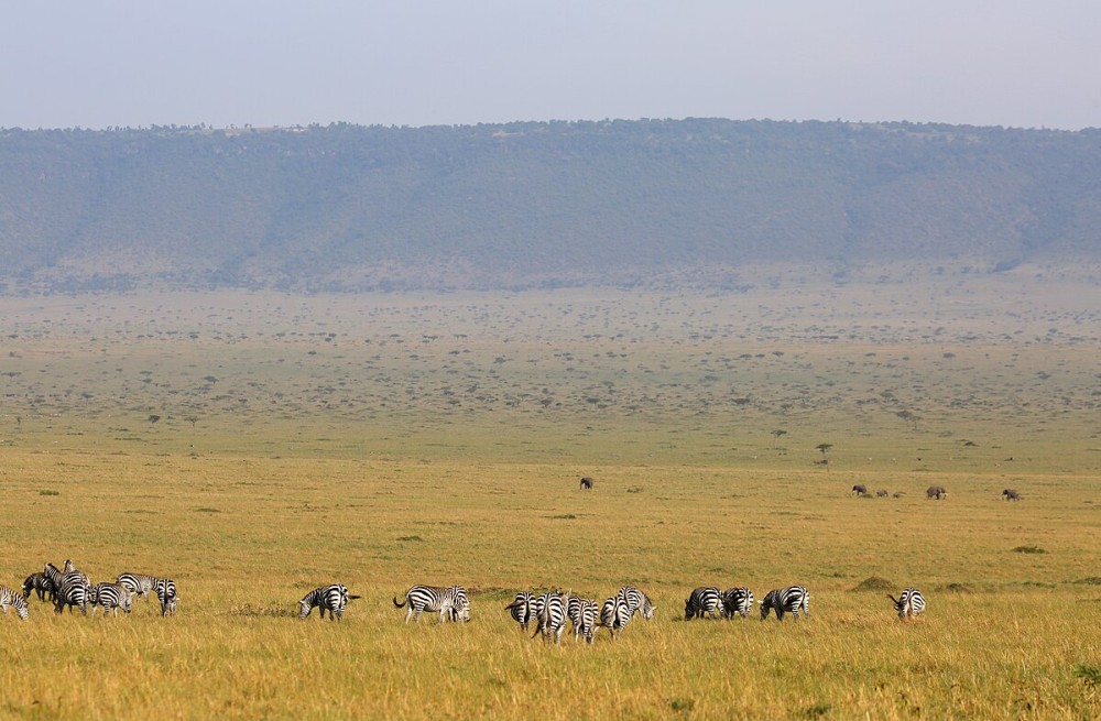3 Days 2 Nights Masai Mara Joining Safari From Nairobi | ®ExcursionMania