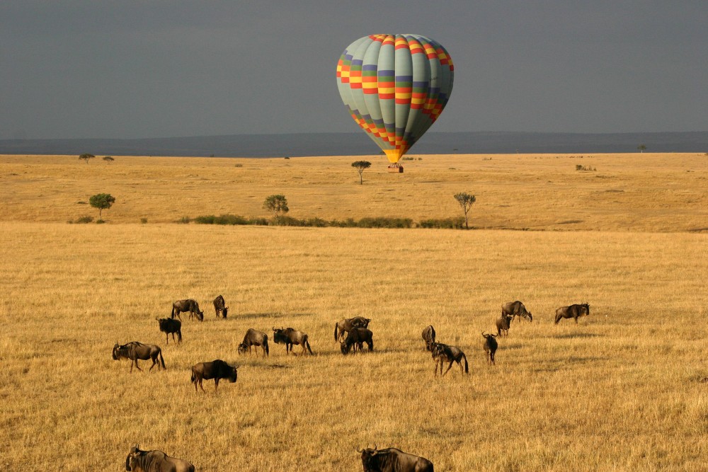 3 Days 2 Nights Masai Mara Joining Safari From Nairobi | ®ExcursionMania