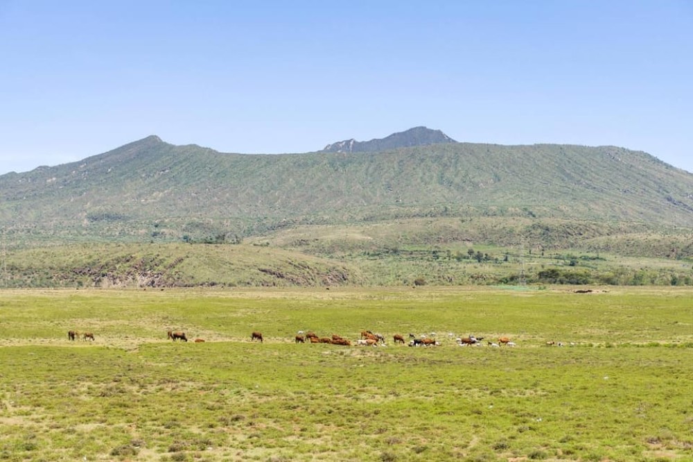 From Nairobi: Mt Longonot Hiking Day Tour | ®ExcursionMania