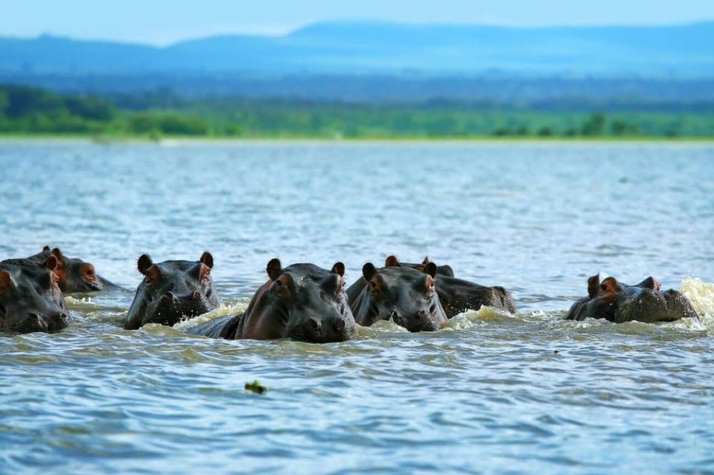 From Nairobi: Mt Longonot Hiking Day Tour | ®ExcursionMania
