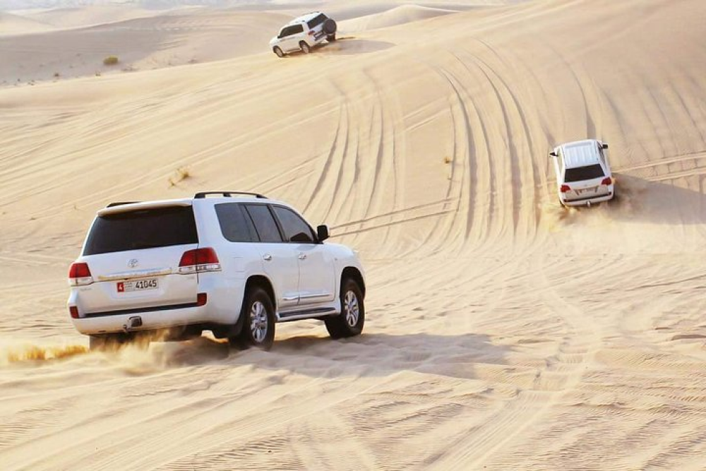 Abu Dhabi Private Dune Drive with Camel Farm Visit | ®ExcursionMania