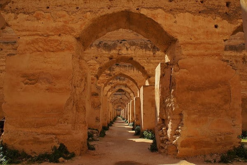 From Fez: Meknes, Volubilis and Moulay Idriss Day Trip | ®ExcursionMania