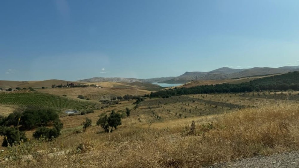 From Fez: Meknes, Volubilis and Moulay Idriss Day Trip | ®ExcursionMania