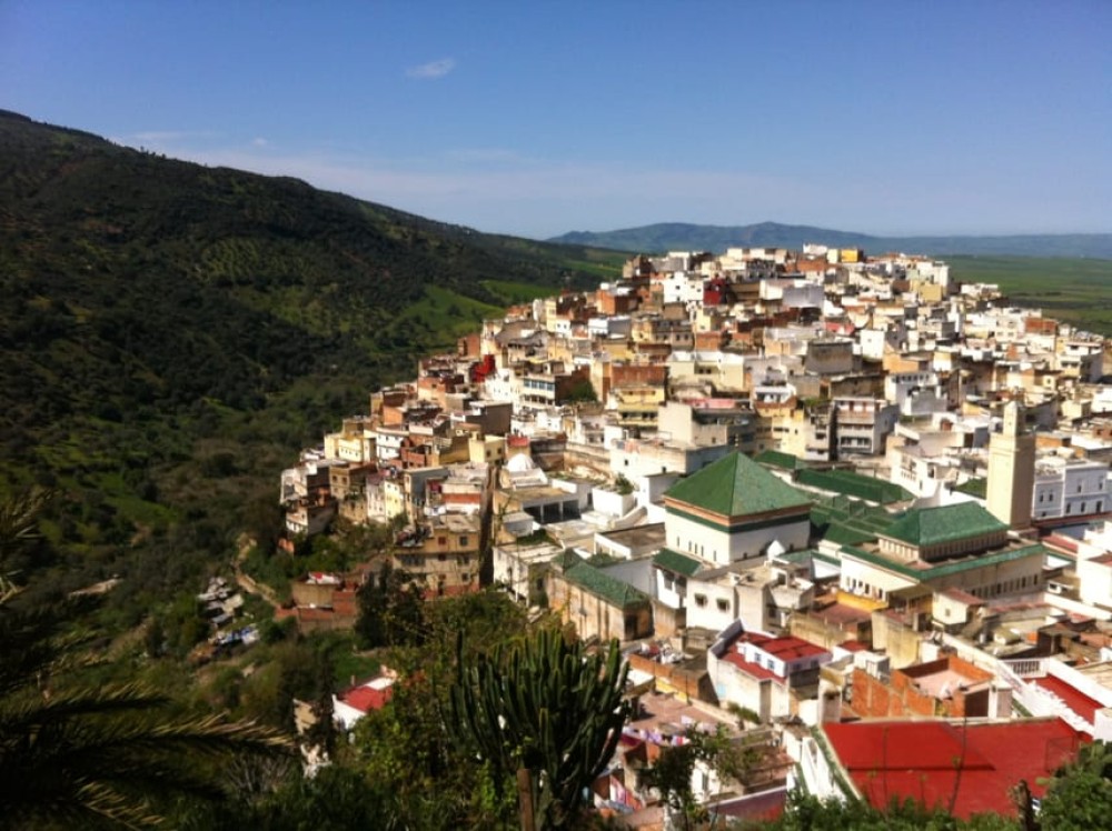 From Fes: Meknes Volubilis and Moulay Idriss Day Trip | ®ExcursionMania