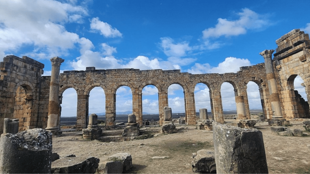 From Fes: Meknes Volubilis and Moulay Idriss Day Trip | ®ExcursionMania