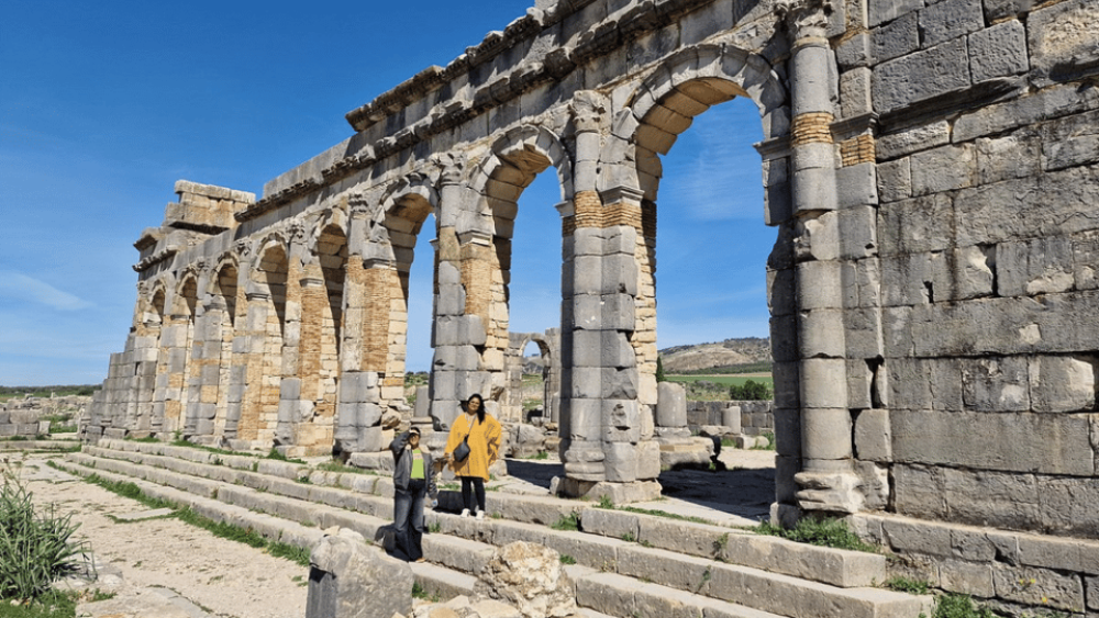 From Fes: Meknes Volubilis and Moulay Idriss Day Trip | ®ExcursionMania