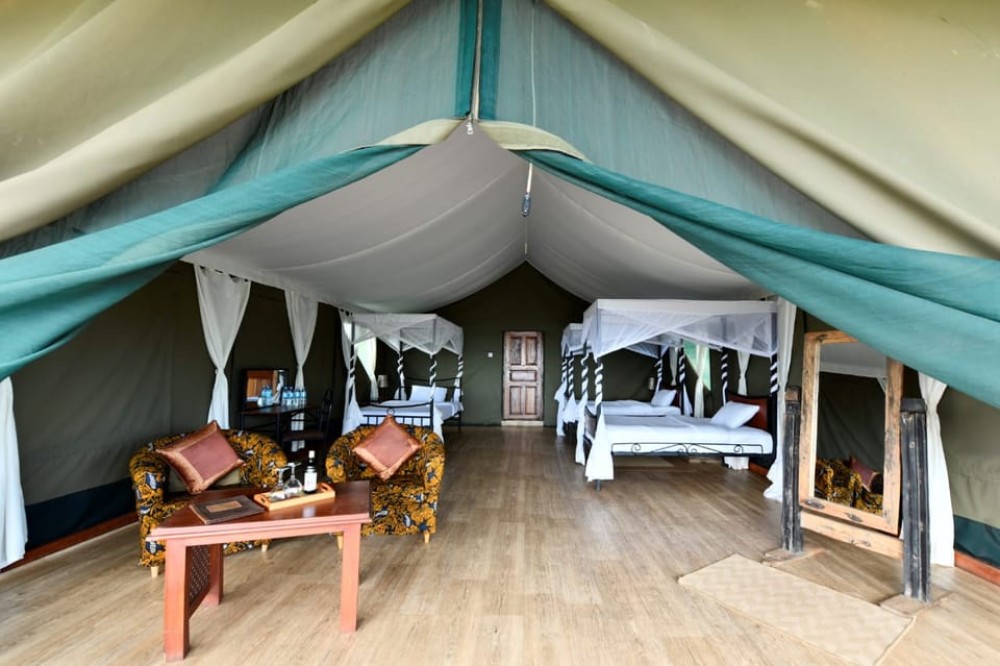 5 Days Amboseli, Lake Nakuru and Masai Mara Safari | ®ExcursionMania