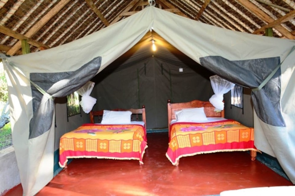 5 Days Amboseli, Lake Nakuru and Masai Mara Safari | ®ExcursionMania
