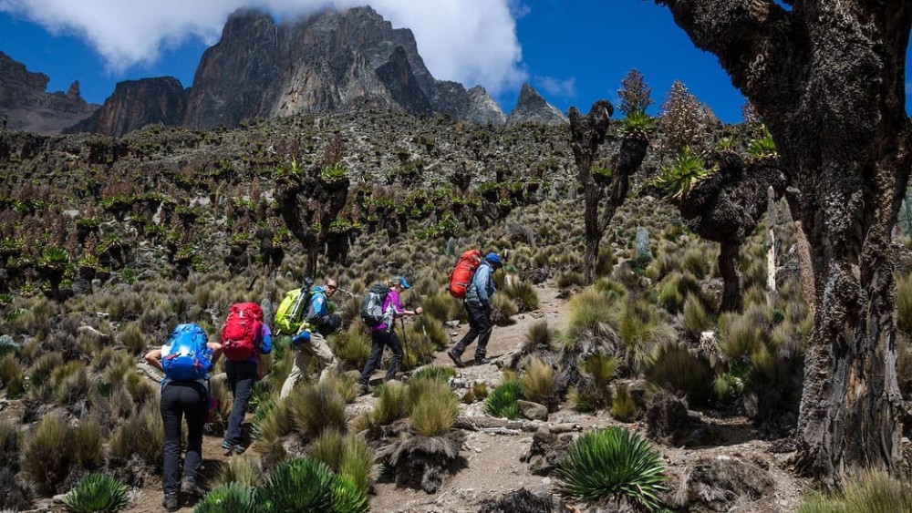 Mt Kenya: Full-day hiking tour from Nairobi | ®ExcursionMania