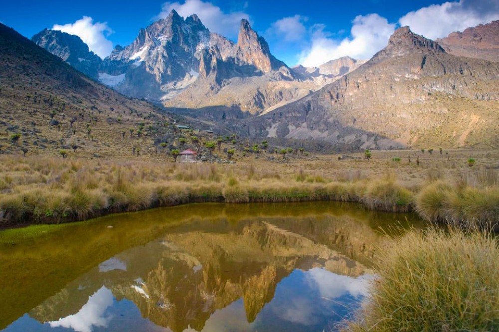 Mt Kenya: Full-day hiking tour from Nairobi | ®ExcursionMania