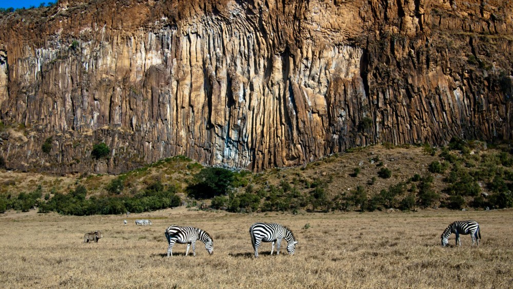 Day Trip to Hells Gate & Optional Boat Ride at Lake Naivasha | ®ExcursionMania