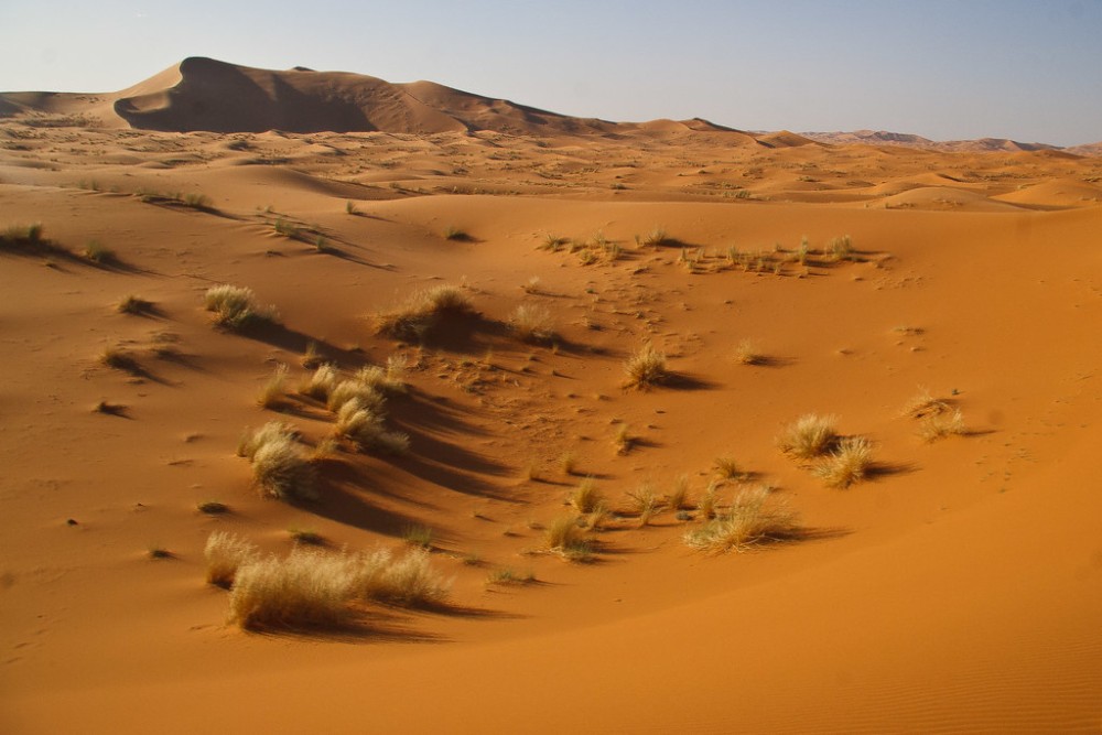 2-Day, 1-Night Desert Trip to Merzouga from Ouarzazate | ®ExcursionMania
