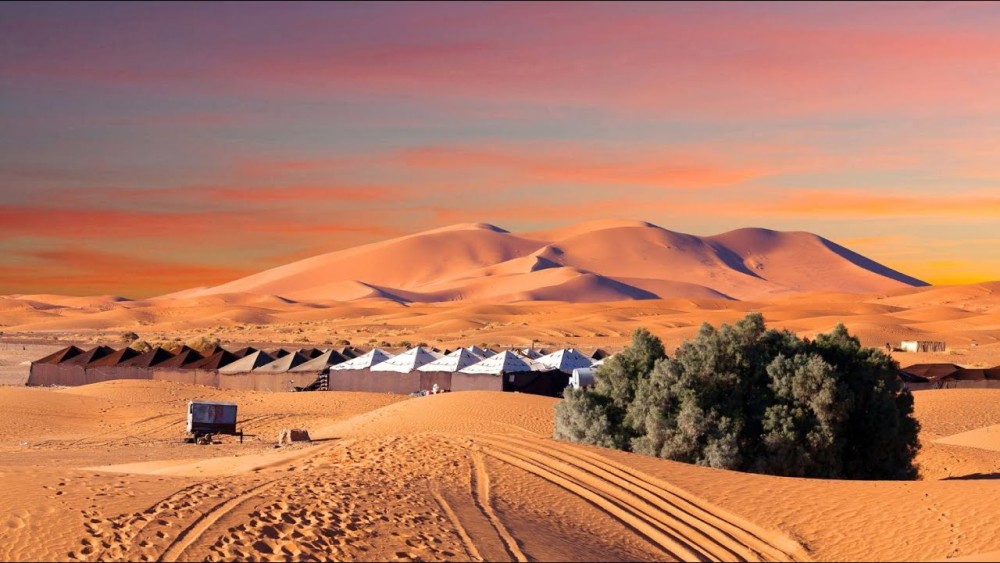 2-Day, 1-Night Desert Trip to Merzouga from Ouarzazate | ®ExcursionMania