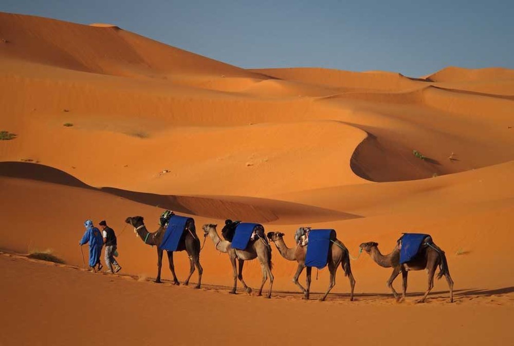 2-Day, 1-Night Desert Trip to Merzouga from Ouarzazate | ®ExcursionMania