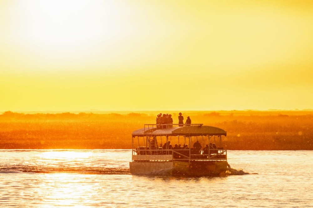 Victoria Falls: Chobe National Park Day Trip with Lunch | ®ExcursionMania