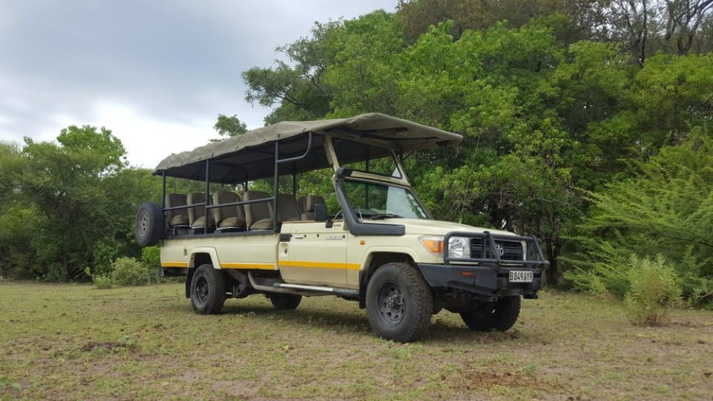 Victoria Falls: Chobe National Park Day Trip with Lunch | ®ExcursionMania