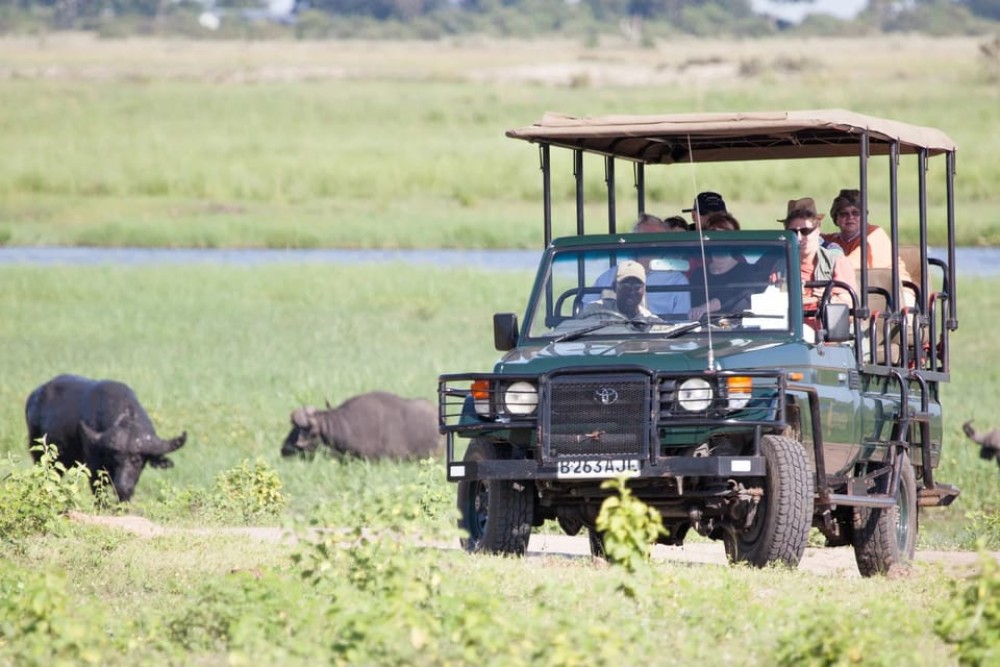 Victoria Falls: Chobe National Park Day Trip with Lunch | ®ExcursionMania