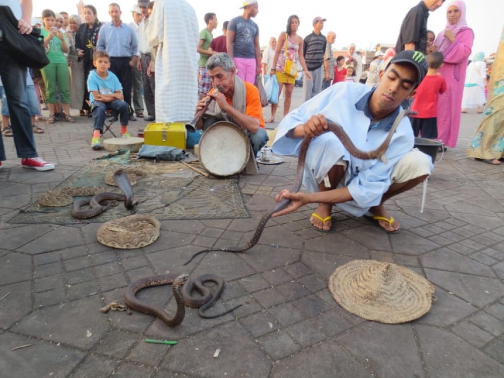 From Casablanca: 10-Day Morocco Tour | ®ExcursionMania