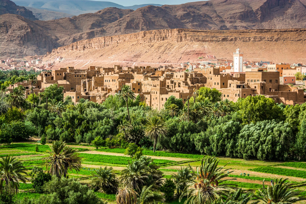 From Marrakech: 3-Day Desert Tour to Fes via Erg Chebbi | ®ExcursionMania
